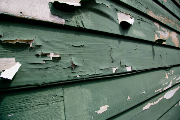 Same-Day Junk Removal Services in Meridian Hills, IN