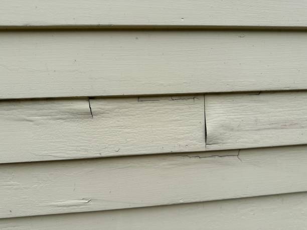 Best Hoarding Cleanup  in Meridian Hills, IN